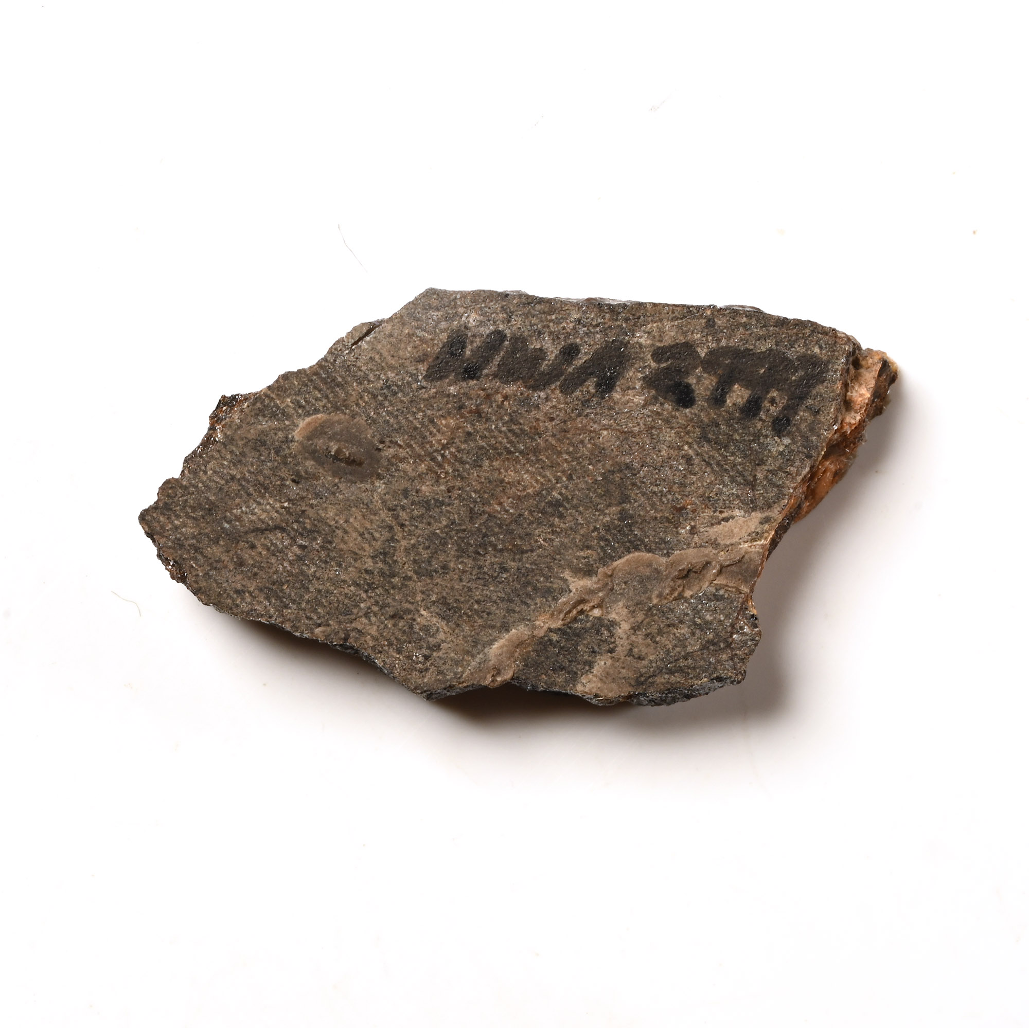 Natural History - Angrite NWA 2999 Meteorite Slice